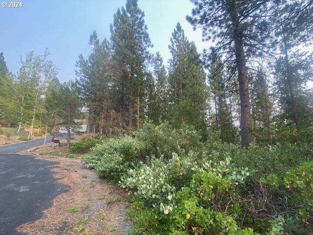 Crescent Lake, OR 97733,Snow Flake CT #22