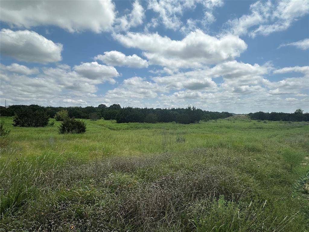 Hico, TX 76457,TBD County Road 234