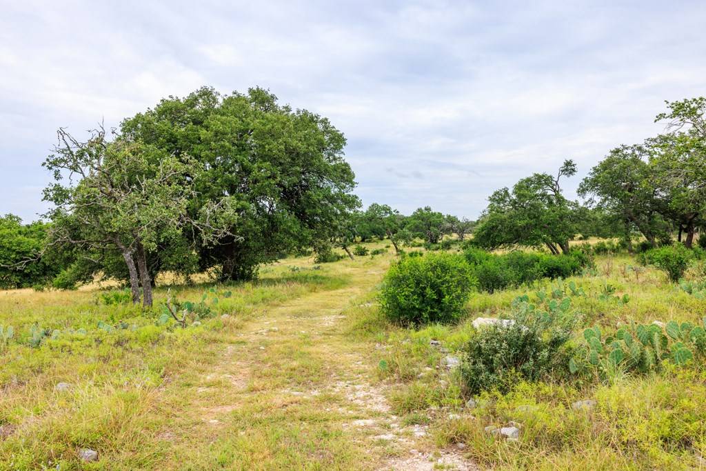 Kerrville, TX 78631,Lot 43 -- Avila Ridge Dr.