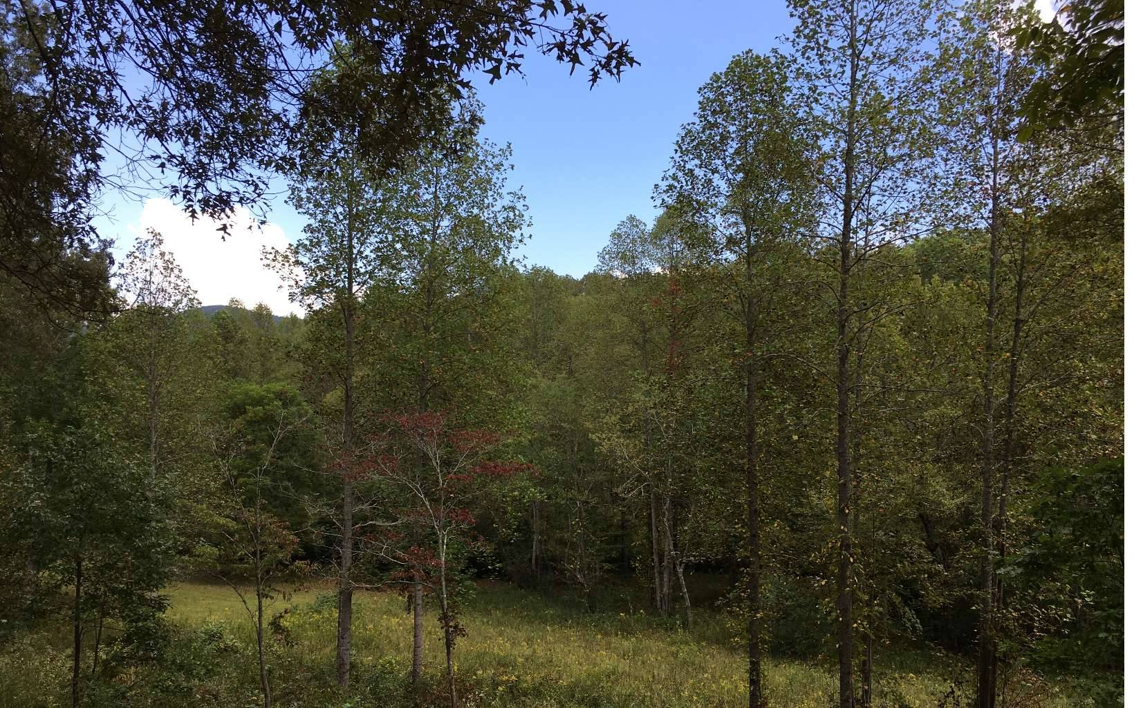 Young Harris, GA 30512,LOT4 Hood Acres Road