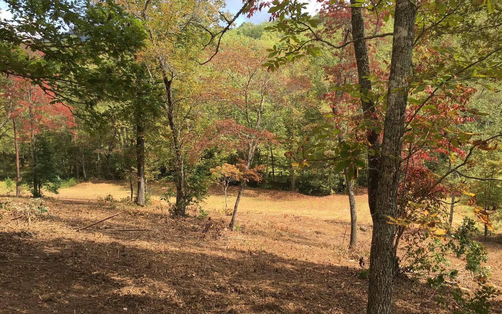 Young Harris, GA 30512,LOT4 Hood Acres Road