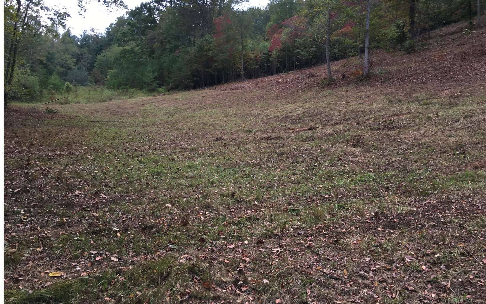 Young Harris, GA 30512,LOT4 Hood Acres Road