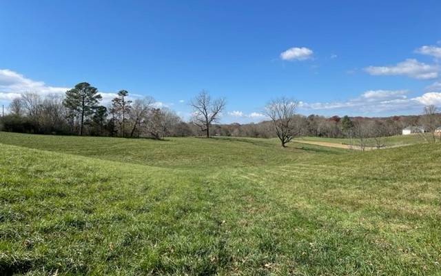 Ellijay, GA 30536,TR C Clear Creek Preserve Way