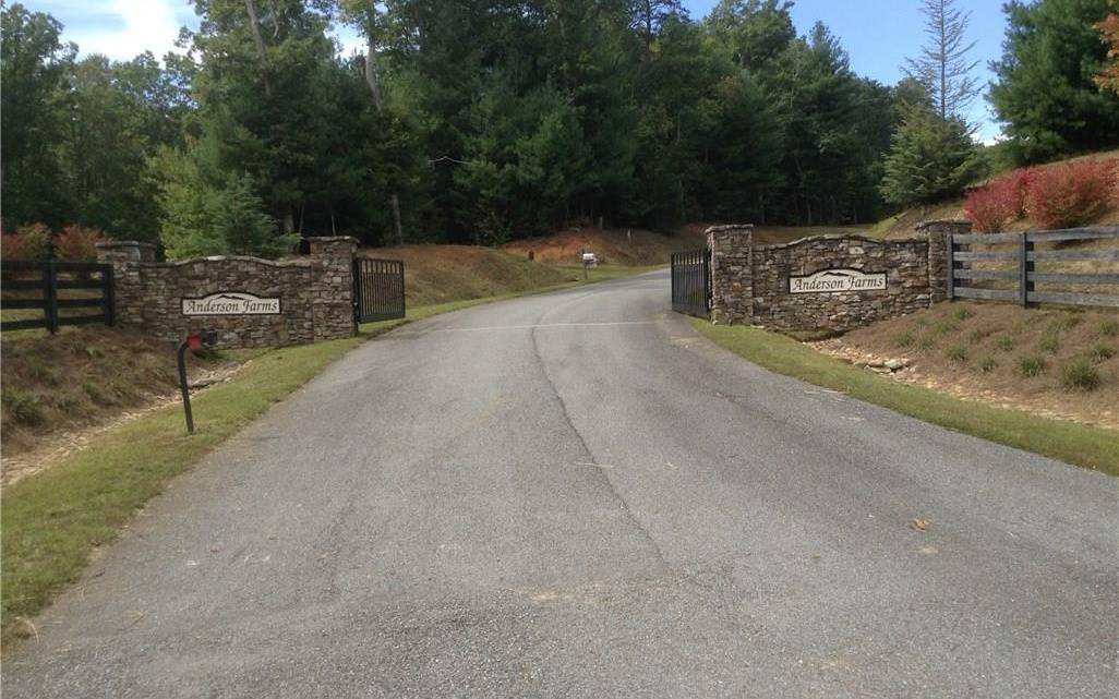 Ellijay, GA 30536,LOT17 Frances Drive