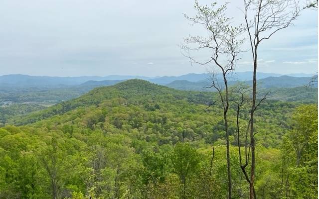 Morganton, GA 30560,LOT Mull Lane