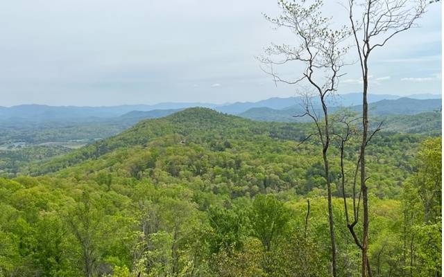 Morganton, GA 30560,LOT Mull Lane