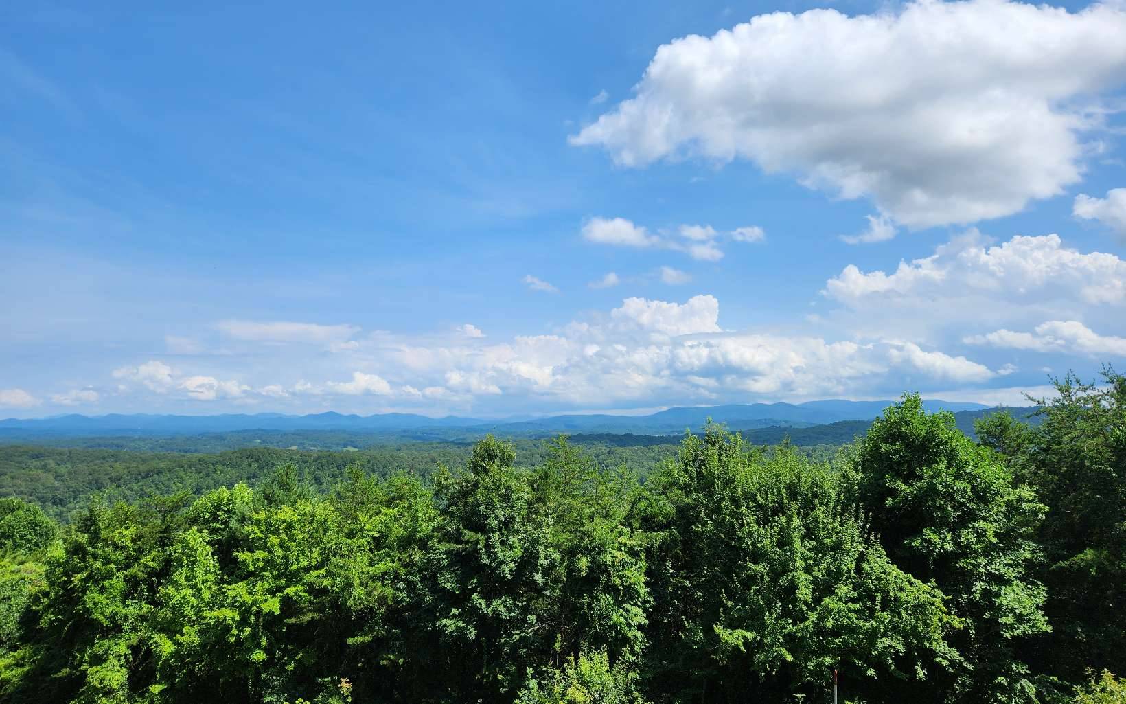 Blue Ridge, GA 30513,0 Lookout Drive