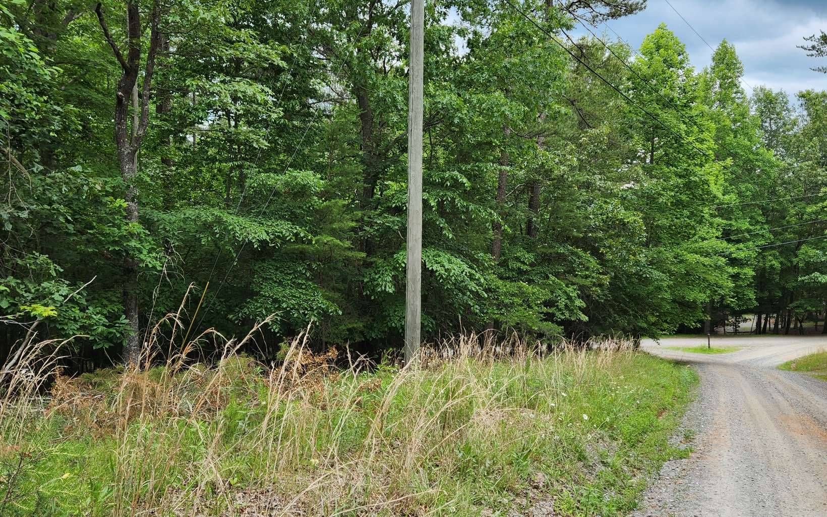 Ellijay, GA 30540,Alcan Way Lot 36