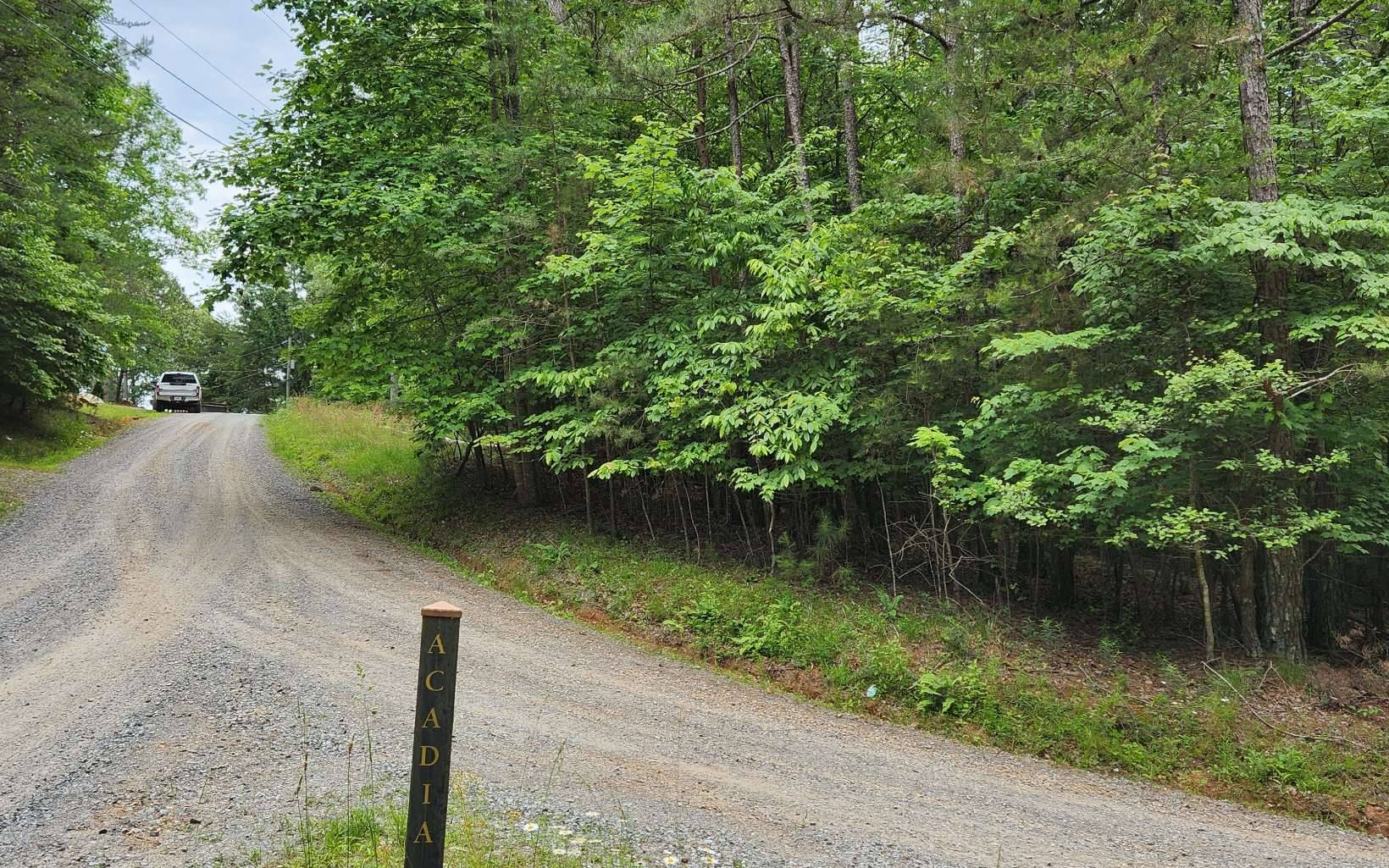 Ellijay, GA 30540,Alcan Way Lot 36