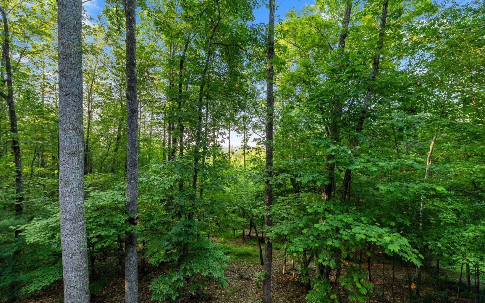 Morganton, GA 30560,LOT 1 Hemptown Overlook