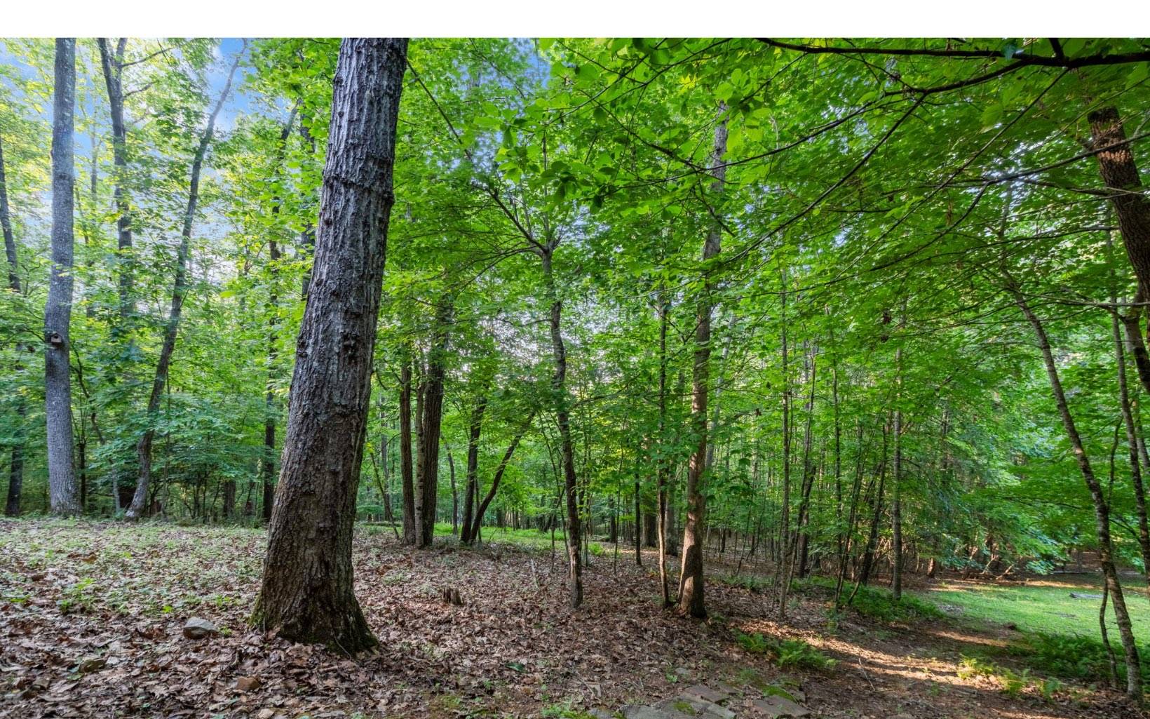 Morganton, GA 30560,LOT 1 Hemptown Overlook