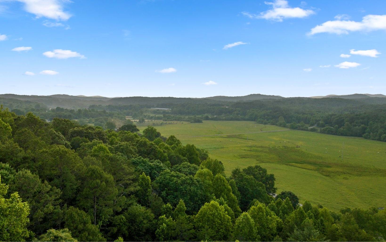 Morganton, GA 30560,LOT 1 Hemptown Overlook