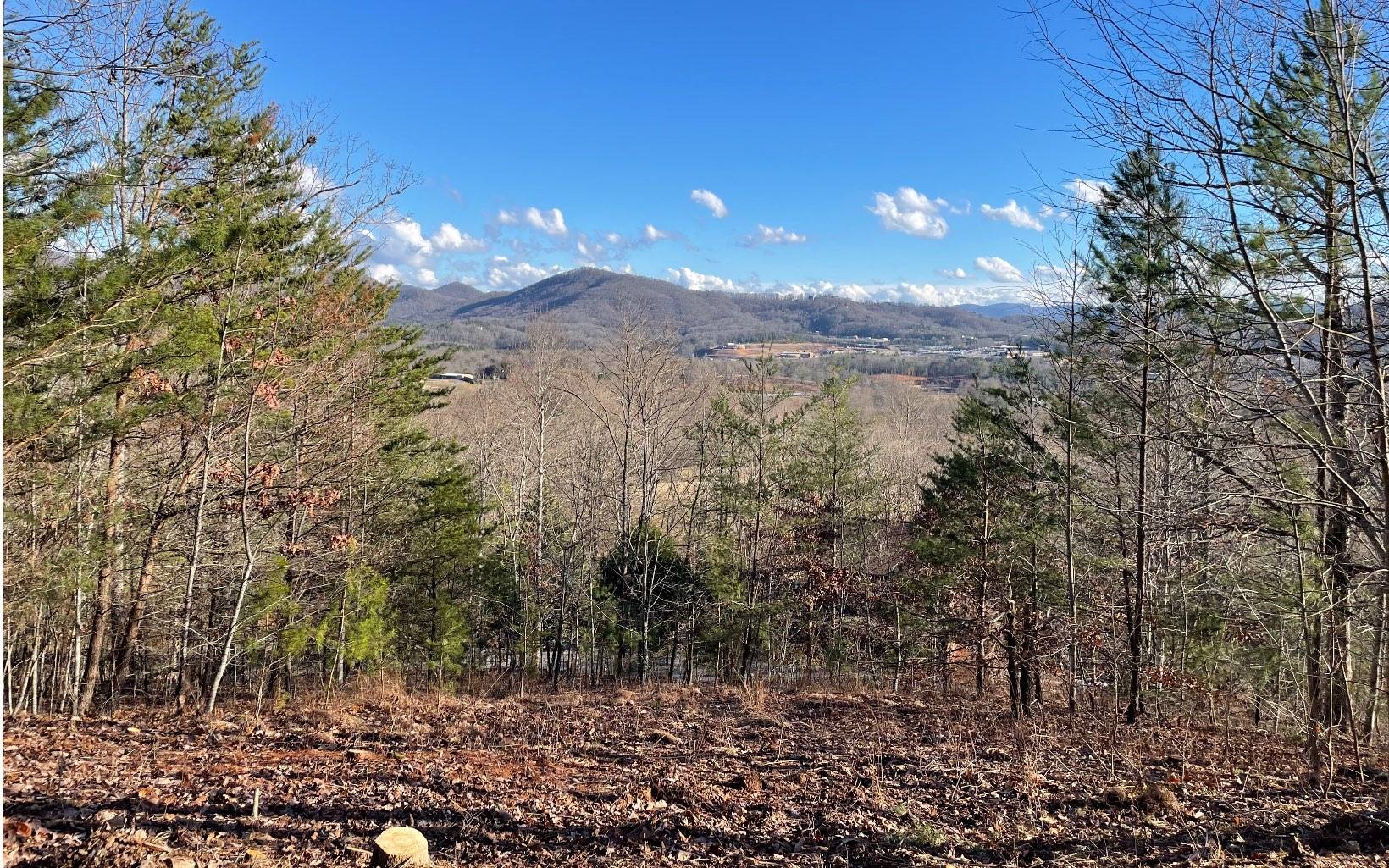 Blairsville, GA 30512,LOT 2 Grand Oaks Drive