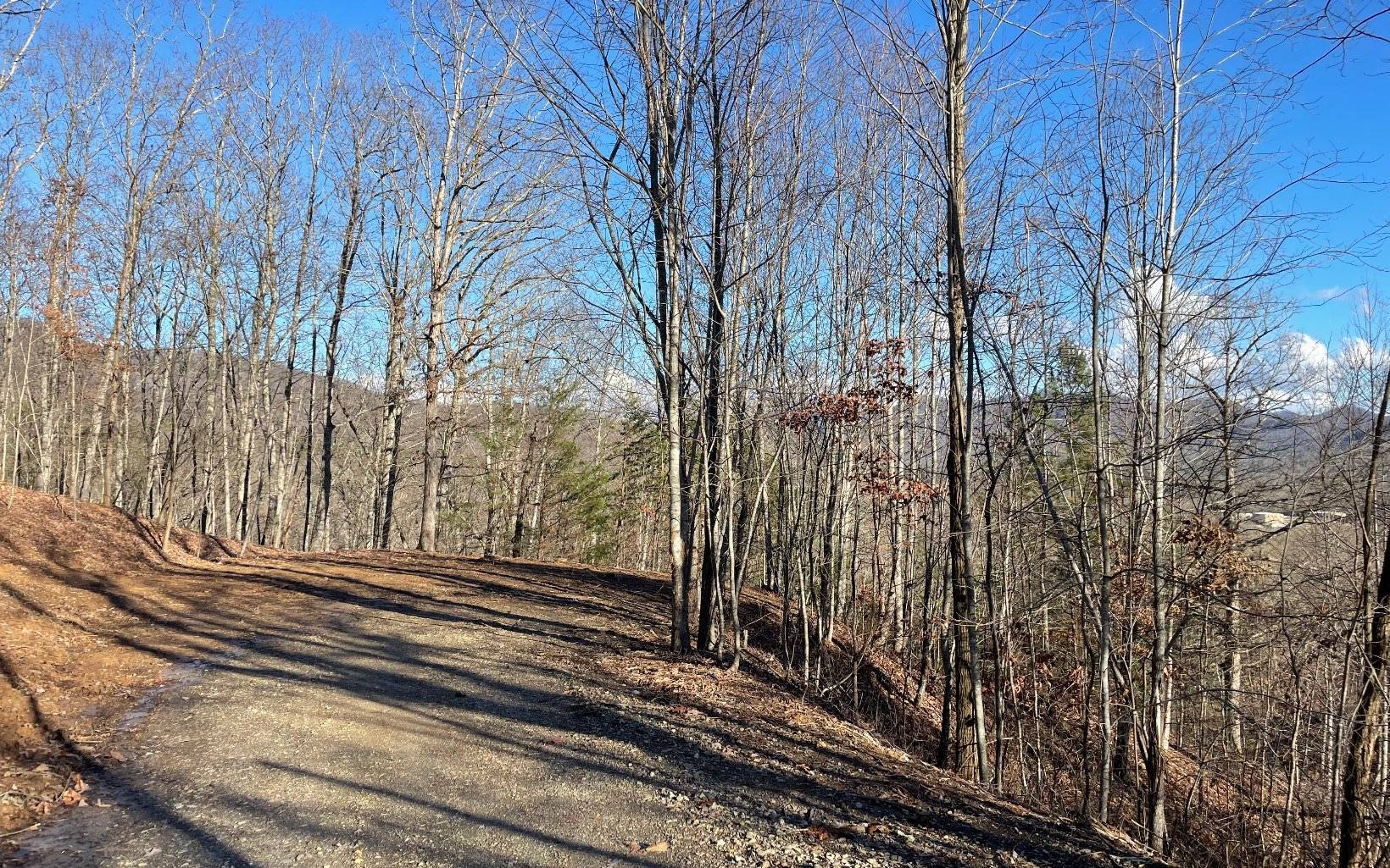 Blairsville, GA 30512,LOT 2 Grand Oaks Drive