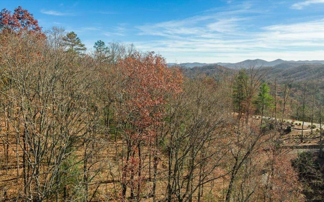 Blue Ridge, GA 30513,LT 14 Falling Rock Road