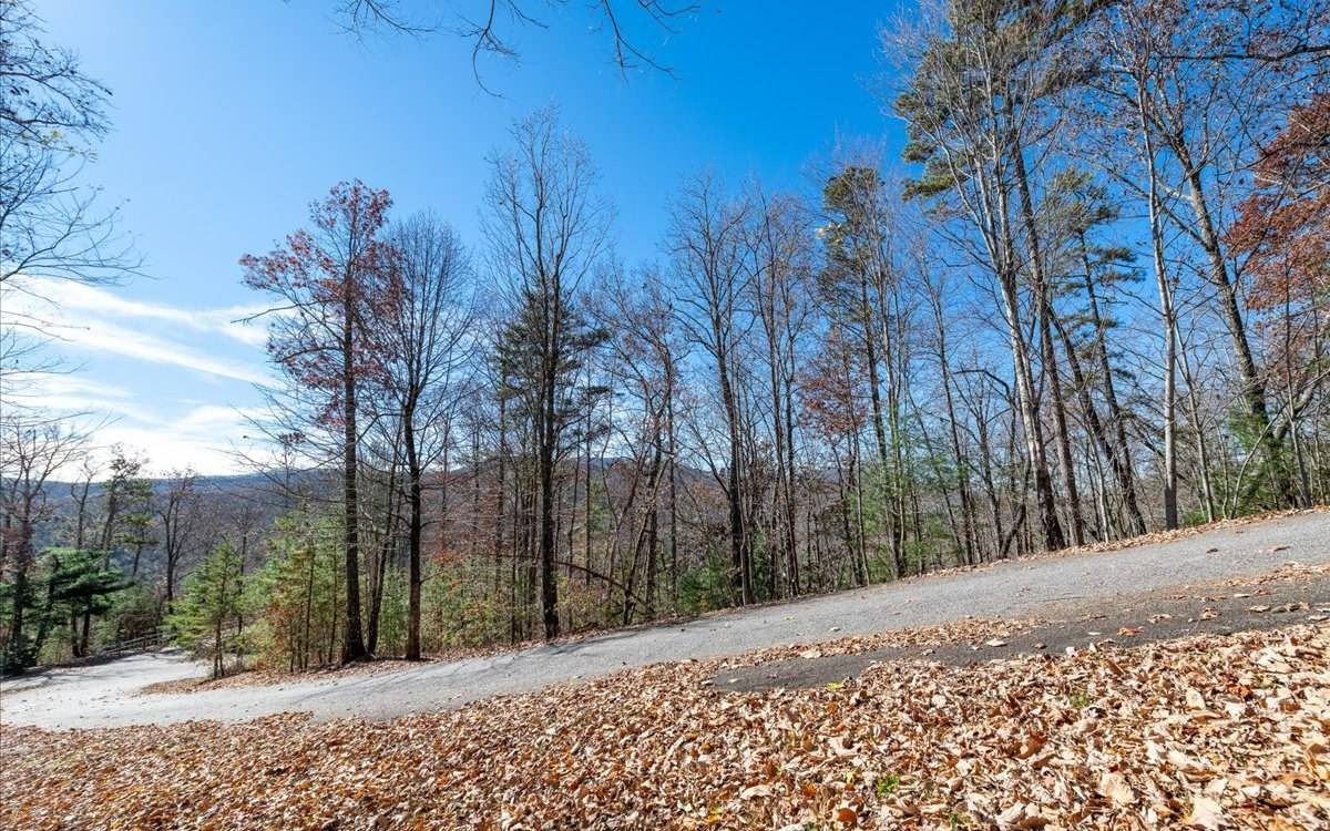 Blue Ridge, GA 30513,LT 14 Falling Rock Road