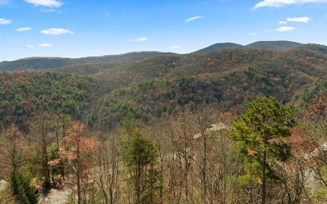 Blue Ridge, GA 30513,LT 14 Falling Rock Road