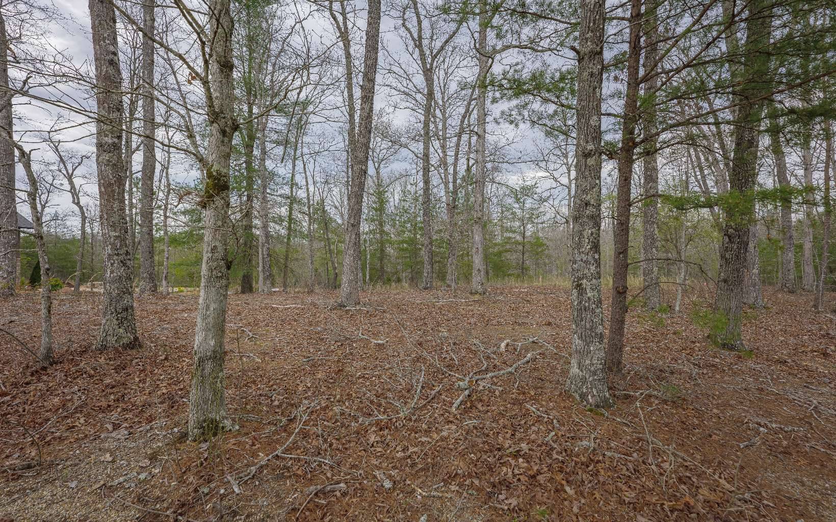 Mineral Bluff, GA 30559,LT91 Old Toccoa Farm Loop