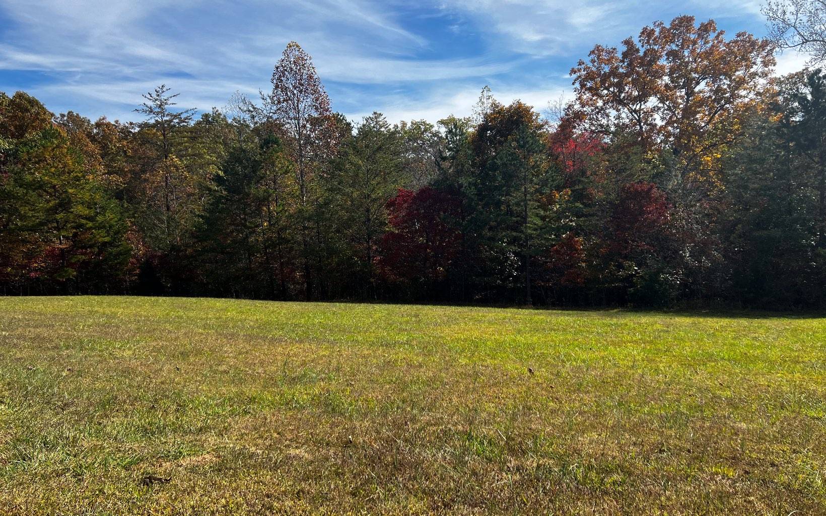 Morganton, GA 30560,Lot 12 Harbin Woods