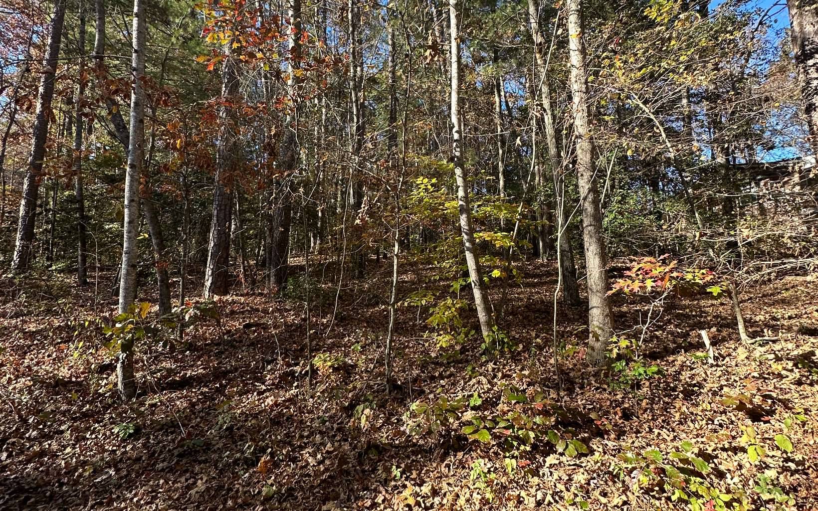 Blairsville, GA 30512,LOT 3 Piney Point Road