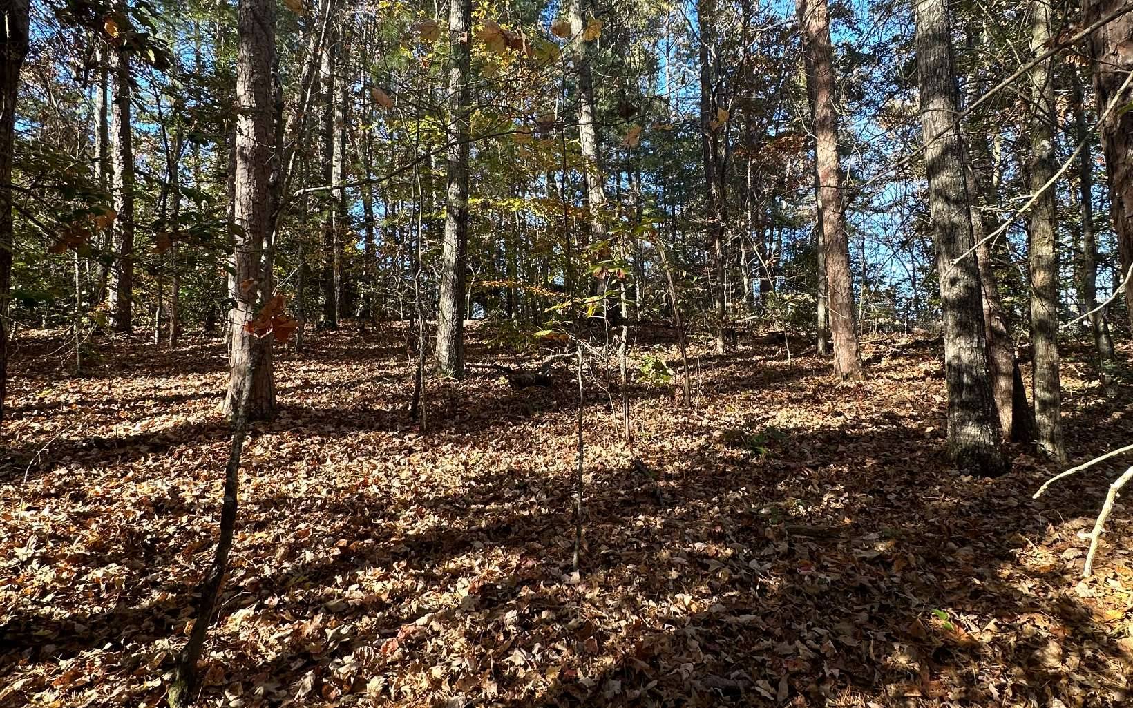 Blairsville, GA 30512,LOT 3 Piney Point Road