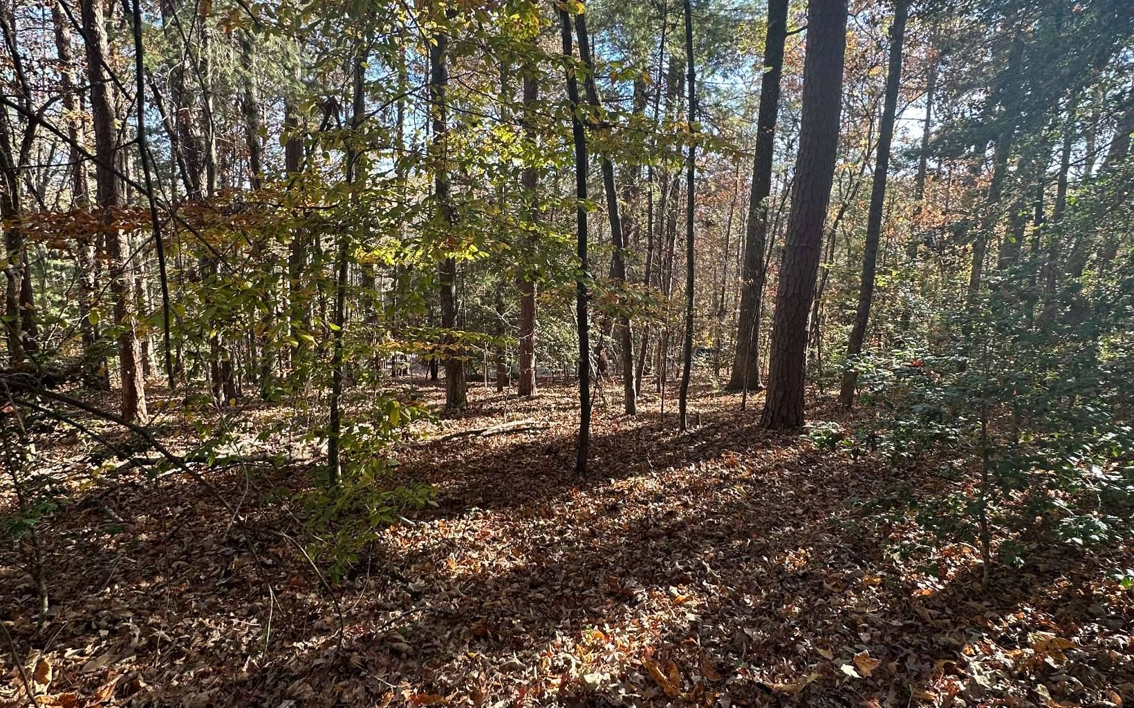 Blairsville, GA 30512,LOT 3 Piney Point Road