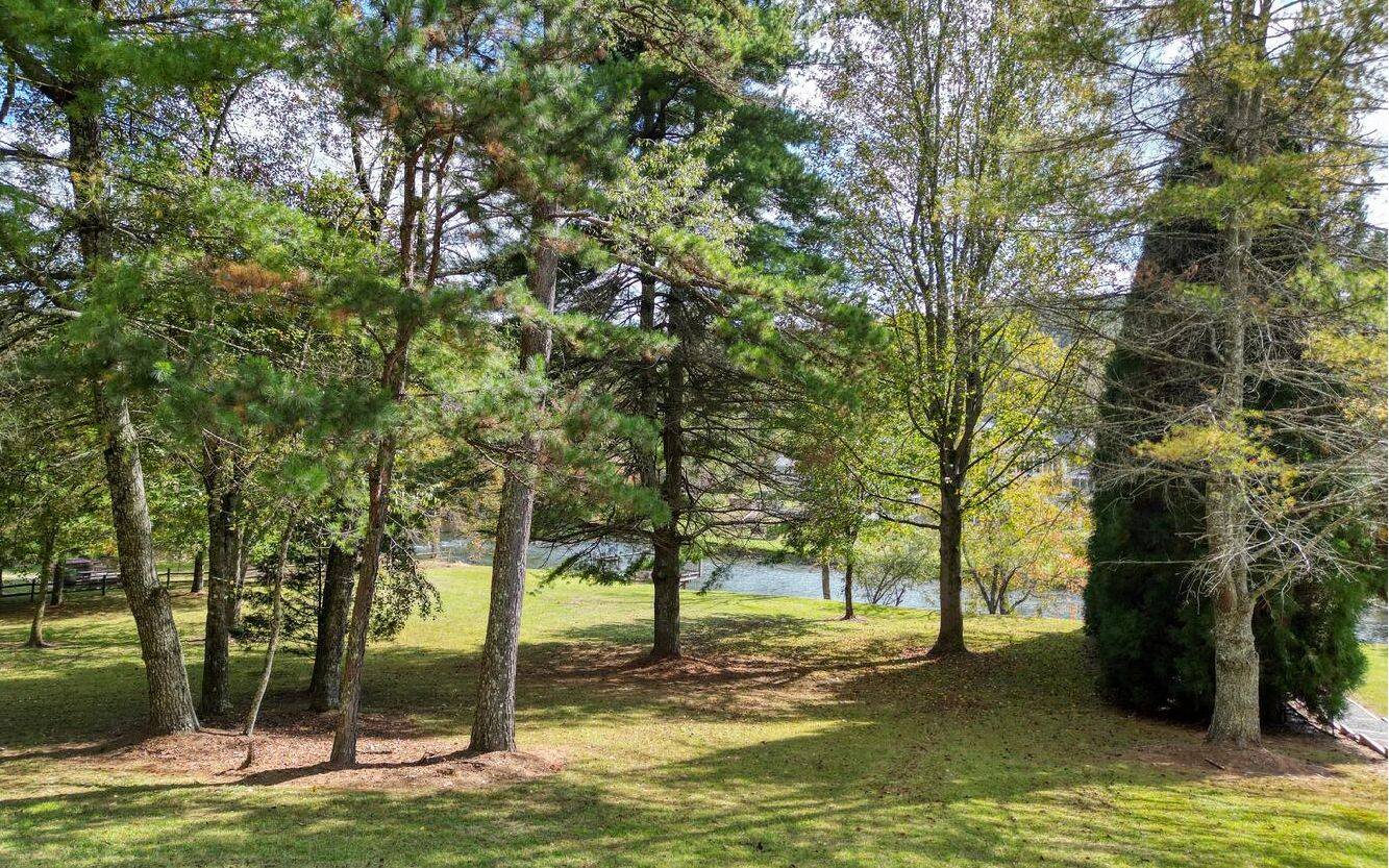 Mineral Bluff, GA 30559,L32 Toccoa River Lane