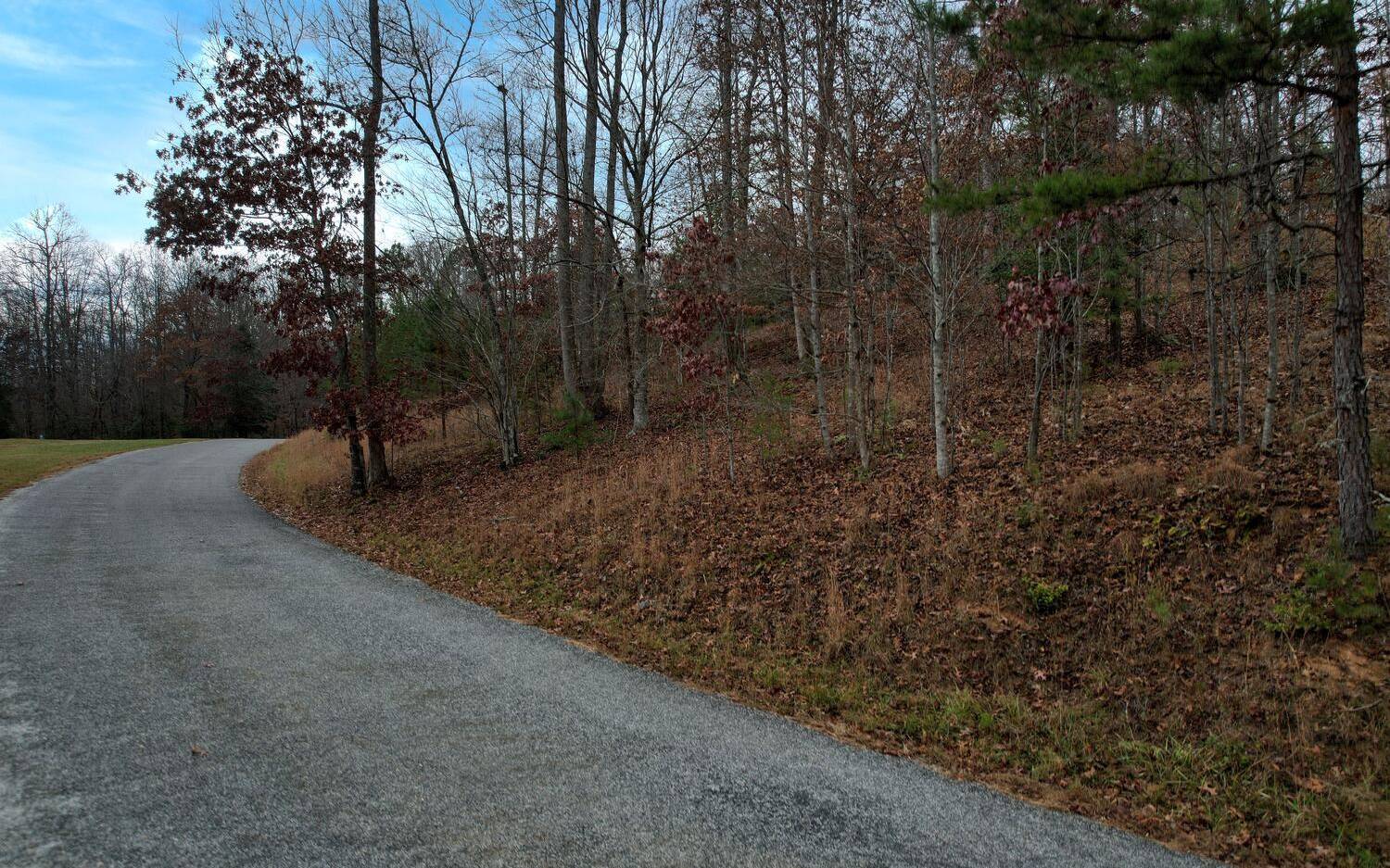 Blairsville, GA 30512,LT 32 Ivy Log Estates Road