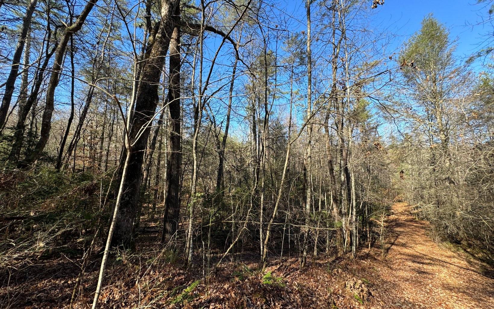 Blue Ridge, GA 30513,15&16 Mill Creek Acres