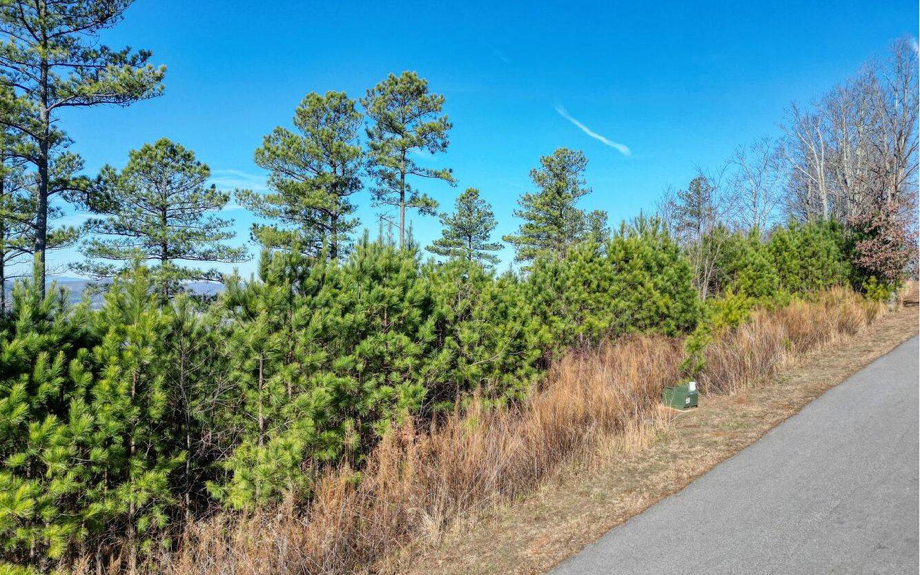 Blairsville, GA 30512,LOT10 Mile High Lane