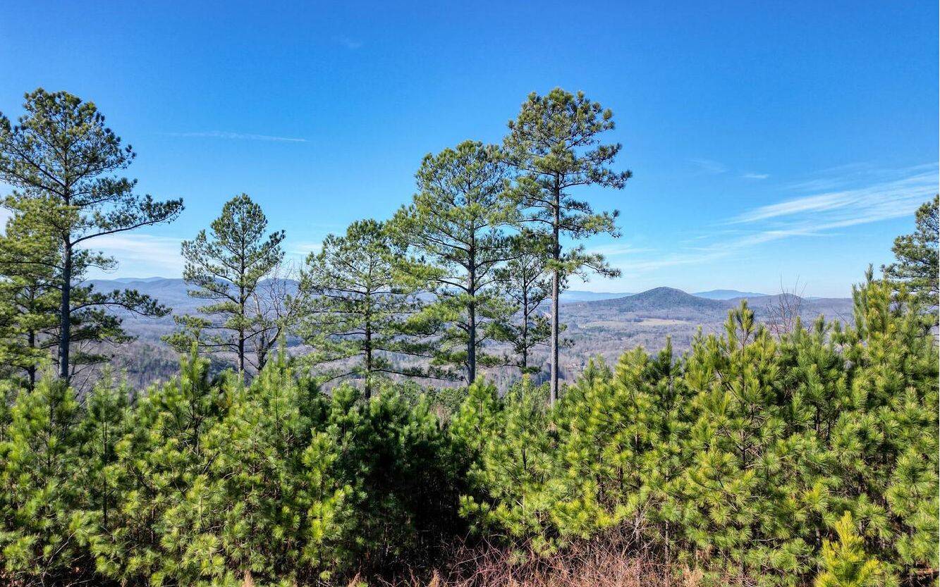 Blairsville, GA 30512,LOT10 Mile High Lane