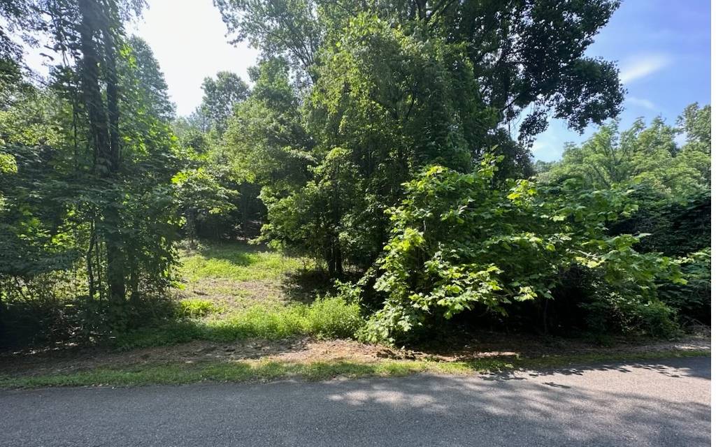 Ellijay, GA 30536,Lot 106 West River T