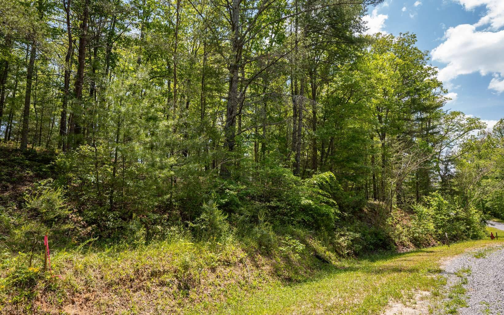 Mineral Bluff, GA 30559,LT83 Old Toccoa Farm Loop