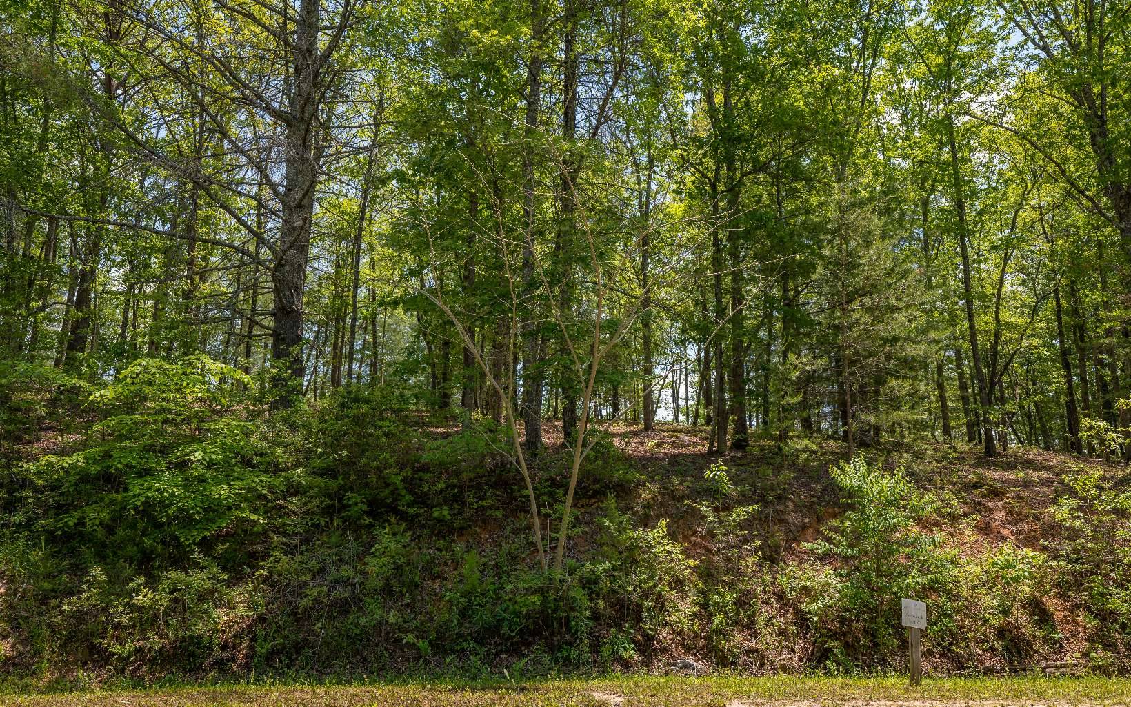 Mineral Bluff, GA 30559,LT83 Old Toccoa Farm Loop