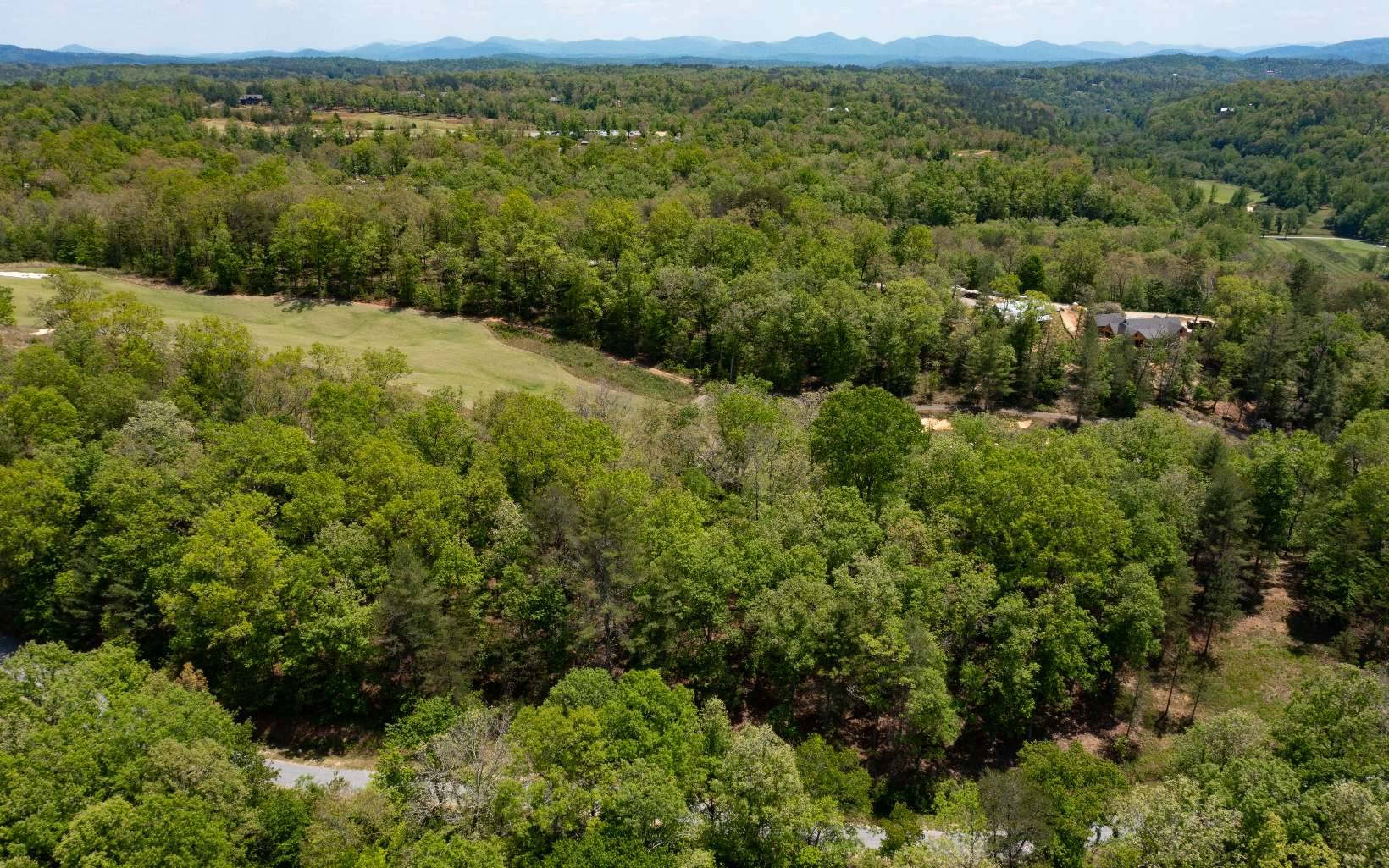 Mineral Bluff, GA 30559,LT83 Old Toccoa Farm Loop