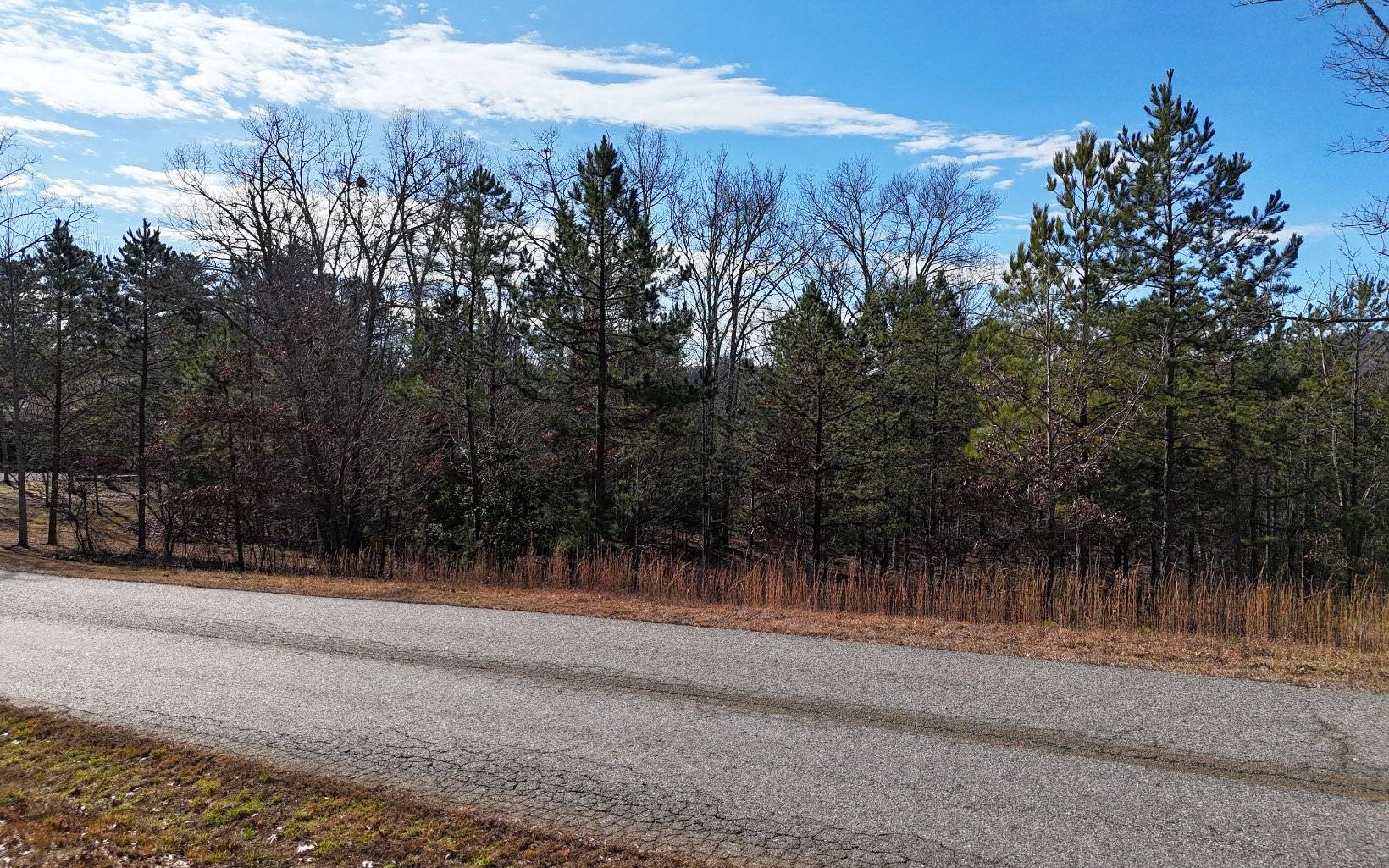 Blairsville, GA 30512,LT 7 Scout Trace Drive