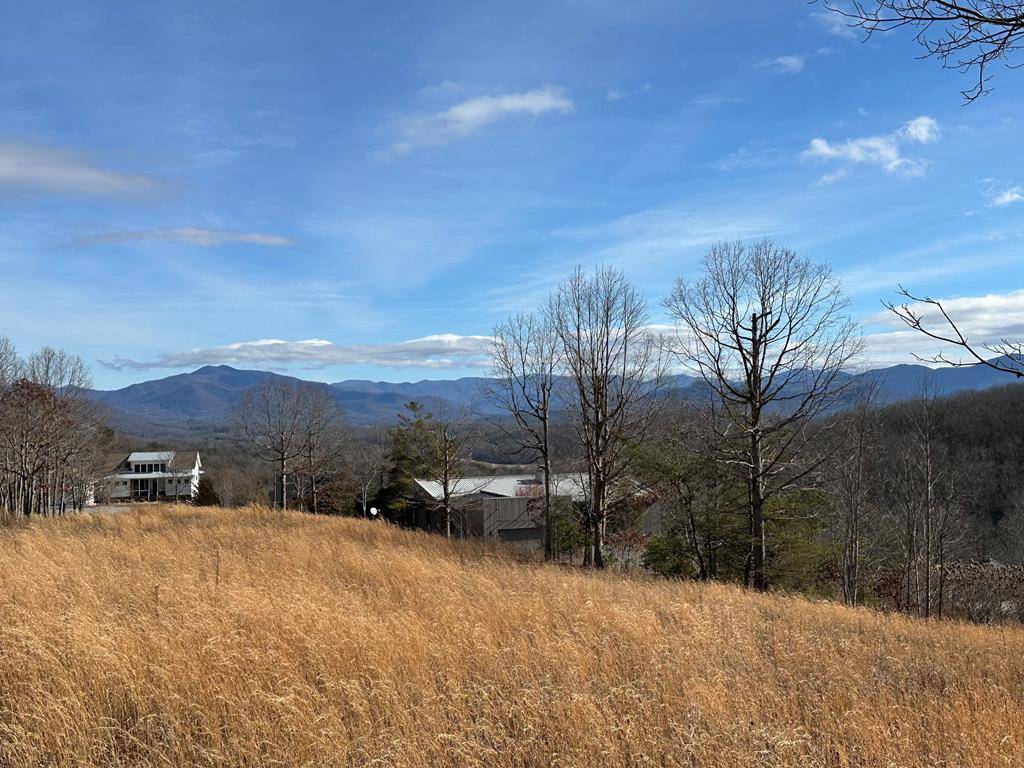 Hayesville, NC 28904,Lot 20 Smokerise