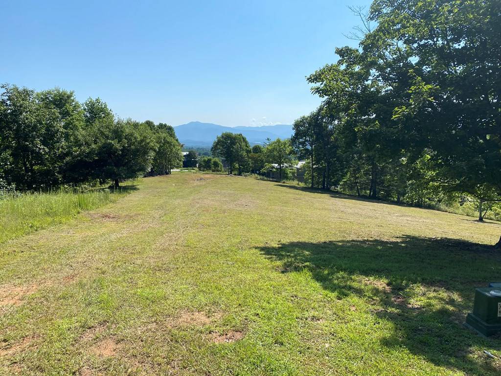 Hayesville, NC 28904,Lot 20 Smokerise