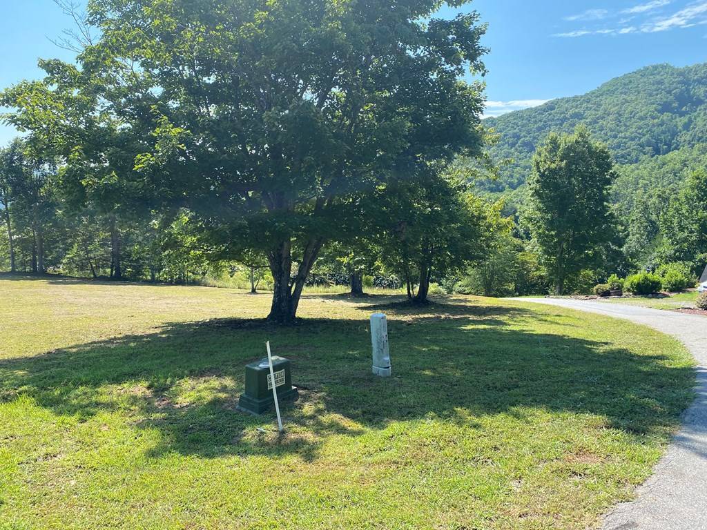 Hayesville, NC 28904,Lot 20 Smokerise