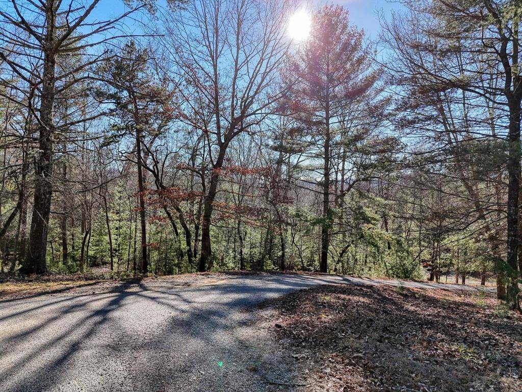 Blairsville, GA 30512,Lot 4 Rocky Road