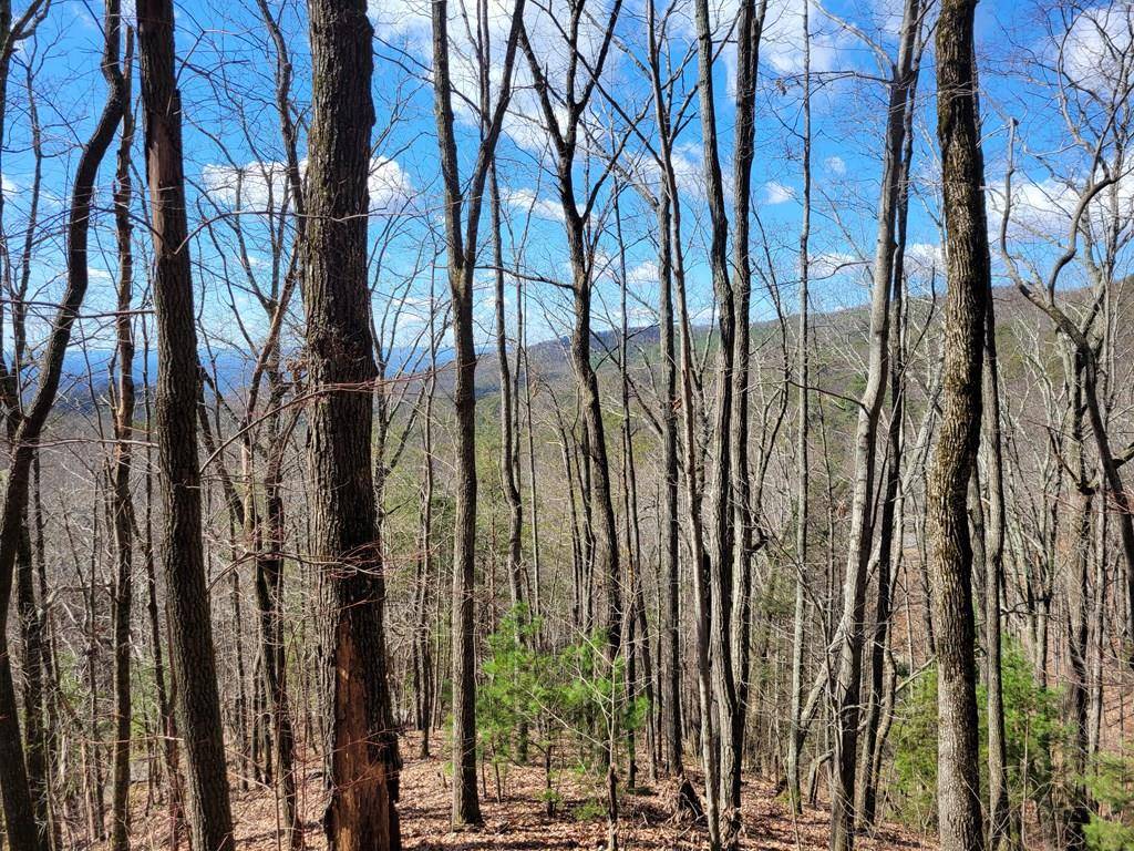 Ellijay, GA 30540,L288 Brushy Top Road