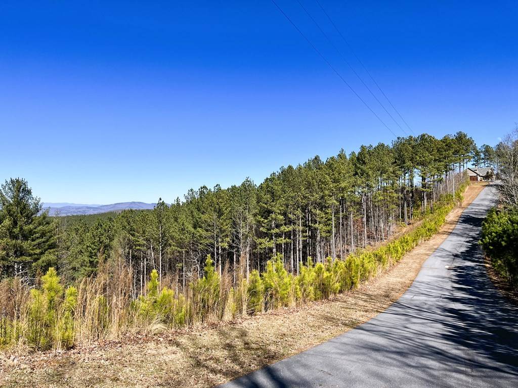 Blairsville, GA 30512,LOT73 Ridge Peak View