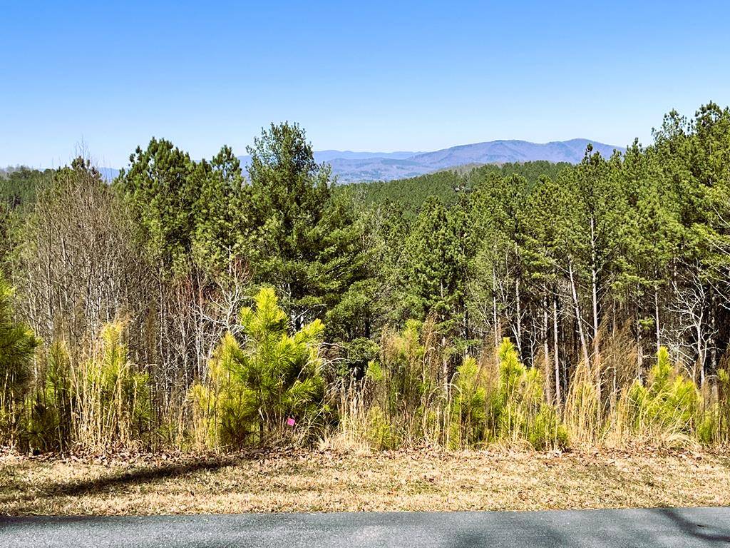 Blairsville, GA 30512,LOT73 Ridge Peak View