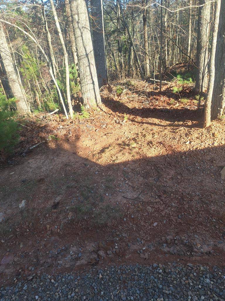 Mineral Bluff, GA 30559,0 Toccoa River Lane