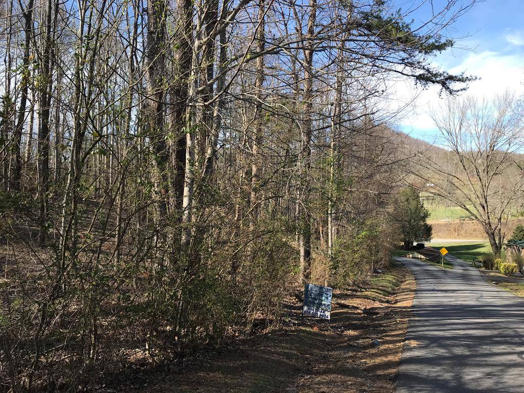 Hayesville, NC 28904,2 & 3 Chatuge Village Drive