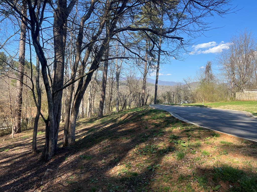 Hayesville, NC 28904,Lot 11 Bent Grass Circle