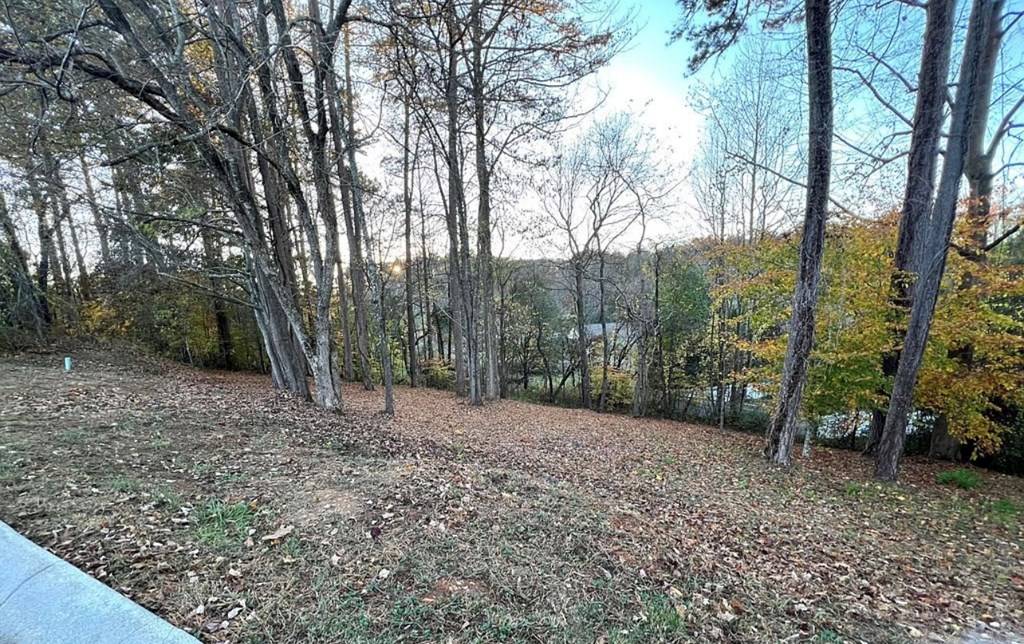 Hayesville, NC 28904,Lot 11 Bent Grass Circle