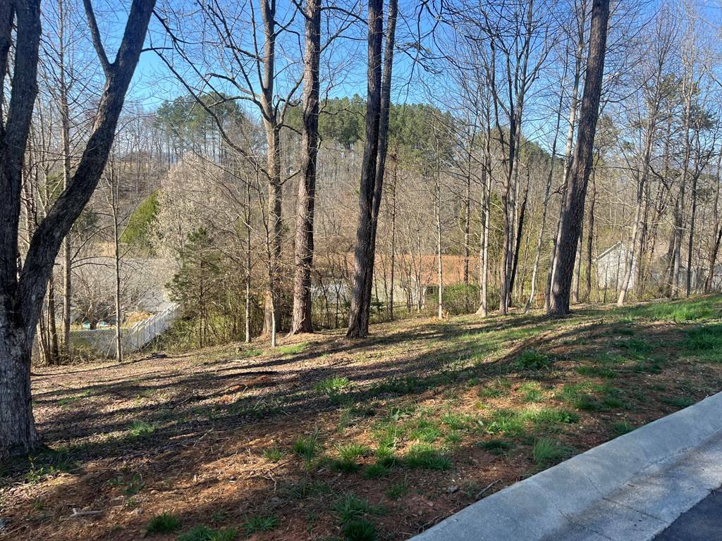 Hayesville, NC 28904,Lot 11 Bent Grass Circle