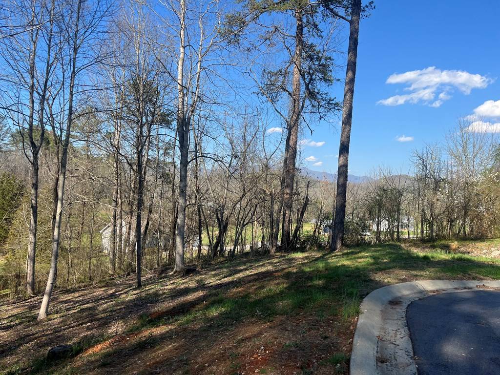 Hayesville, NC 28904,Lot 11 Bent Grass Circle