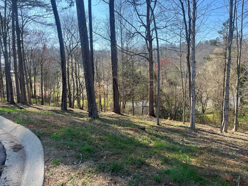 Hayesville, NC 28904,Lot 11 Bent Grass Circle